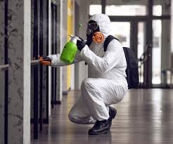 Best Mold Odor Removal Services  in Coarsegold, CA